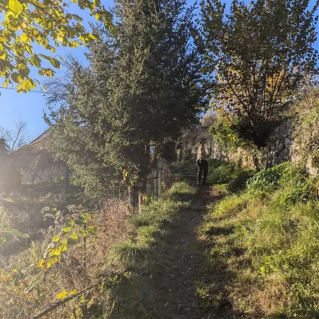 Typical And Lovely House In A Forest Talloires
