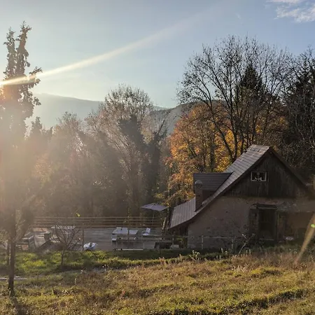 Typical And Lovely House In A Forest *