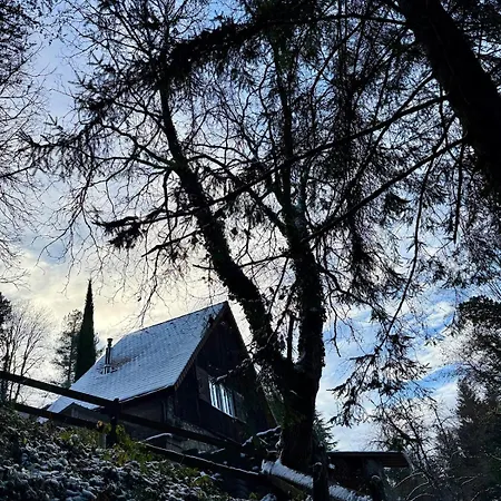 Typical And Lovely House In A Forest
