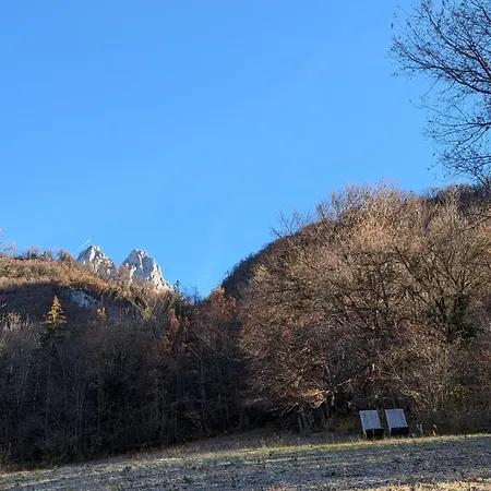 Typical And Lovely House In A Forest Talloires